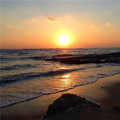 b体育手机版官网最新版本下载截图