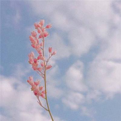 ng体育电子游戏