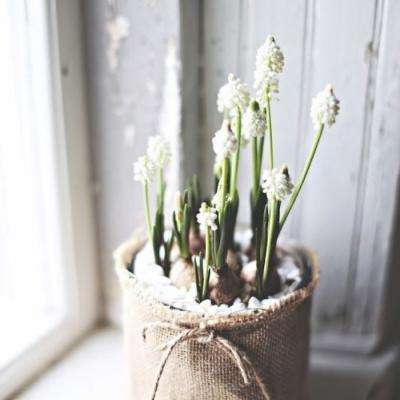 ManBetX登录网页版